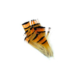 Golden Pheasant Tippets - Small