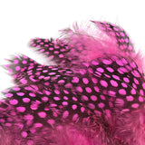 Guinea Feathers