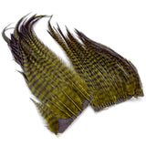 Hareline Woolly Bugger Hackle Patches - Grizzly Olive