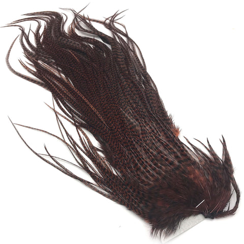 Grizzly Rooster Saddle Hackle Feathers