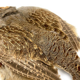 Hungarian Partridge Skin Feathers