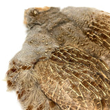 Hungarian Partridge Skin