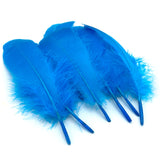 Hareline Select Goose Shoulder - Blue