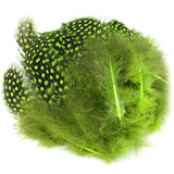 Hareline Strung Guinea Feathers - Chartreuse