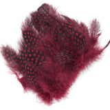 Hareline Strung Guinea Feathers - Claret