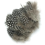 Hareline Strung Guinea Feathers - Natural Gray
