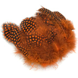 Hareline Strung Guinea Feathers - Orange
