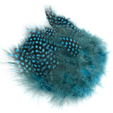 Hareline Strung Guinea Feathers - Silver Doctor Blue