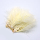 Strung Marabou Blood Quill Feathers - Cream