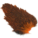 India Hen Back - Crawfish Orange