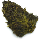India Hen Back - Olive