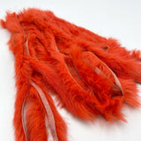 Bulk Magnum Rabbit Strips - Coral