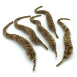 Mangum's Mini Dragon Tails - Variegated Brown Tan