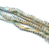 Micro Cut Black Barred Groovy Bunny Strips - Blue / Orange / White