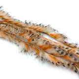 Micro Cut Black Barred Groovy Bunny Strips - Gold / Orange / White