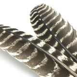 Hareline Ozark Oak Mottled Turkey Quills