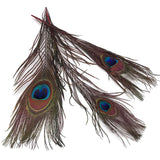 Peacock Eyed Sticks - Red