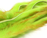 Polychrome Rabbit Strips