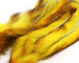 Polychrome Rabbit Strips