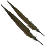 Ringneck Pheasant Tail Feathers - Olive