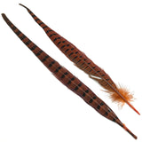Ringneck Pheasant Tail Feathers - Orange