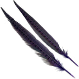 Ringneck Pheasant Tail Feathers - Purple