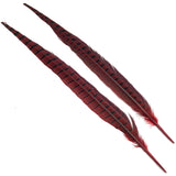 Ringneck Pheasant Tail Feathers - Red
