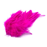 Schlappen Feathers - Fluorescent Fuchsia