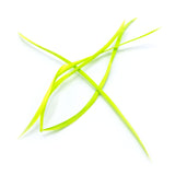 Stripped Goose Biots - Fluorescent Chartreuse