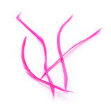 Stripped Goose Biots - Fluorescent Pink