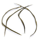 Stripped Goose Biots - Olive