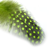 Fly Tying Guinea Feathers