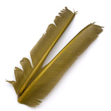 Turkey Biot Quills - Blue Wing Olive