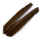 Turkey Biot Quills - Brown