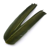 Turkey Biot Quills - Dark Olive