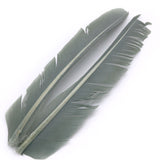 Turkey Biot Quills - Gray Olive