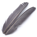 Turkey Biot Quills - Gray