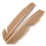 Turkey Biot Quills - Hendrickson