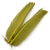 Turkey Biot Quills - Light Olive