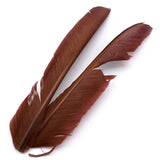 Turkey Biot Quills - Mahogany