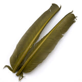 Turkey Biot Quills - Olive