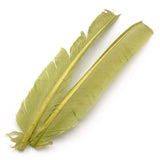 Turkey Biot Quills - Pale Olive