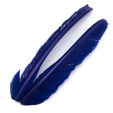 Turkey Biot Quills - Purple