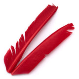 Turkey Biot Quills - Red