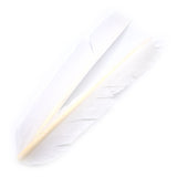 Turkey Biot Quills - White