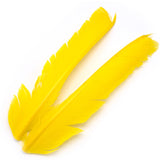 Turkey Biot Quills - Yellow