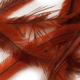 UV2 Emu Feathers - Brown