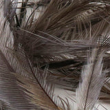 UV2 Emu Feathers - Charcoal Gray