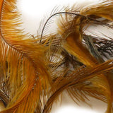 UV2 Emu Feathers - Gold