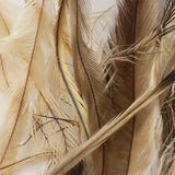 UV2 Emu Feathers - Natural (Tan / Gray)